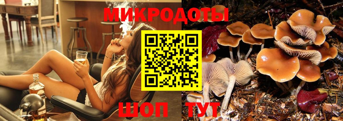 Златоуст  Галлюциногенные грибы мицелий  Вход с VPN 