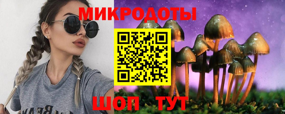Псилоцибиновые грибы Psilocybe Златоуст